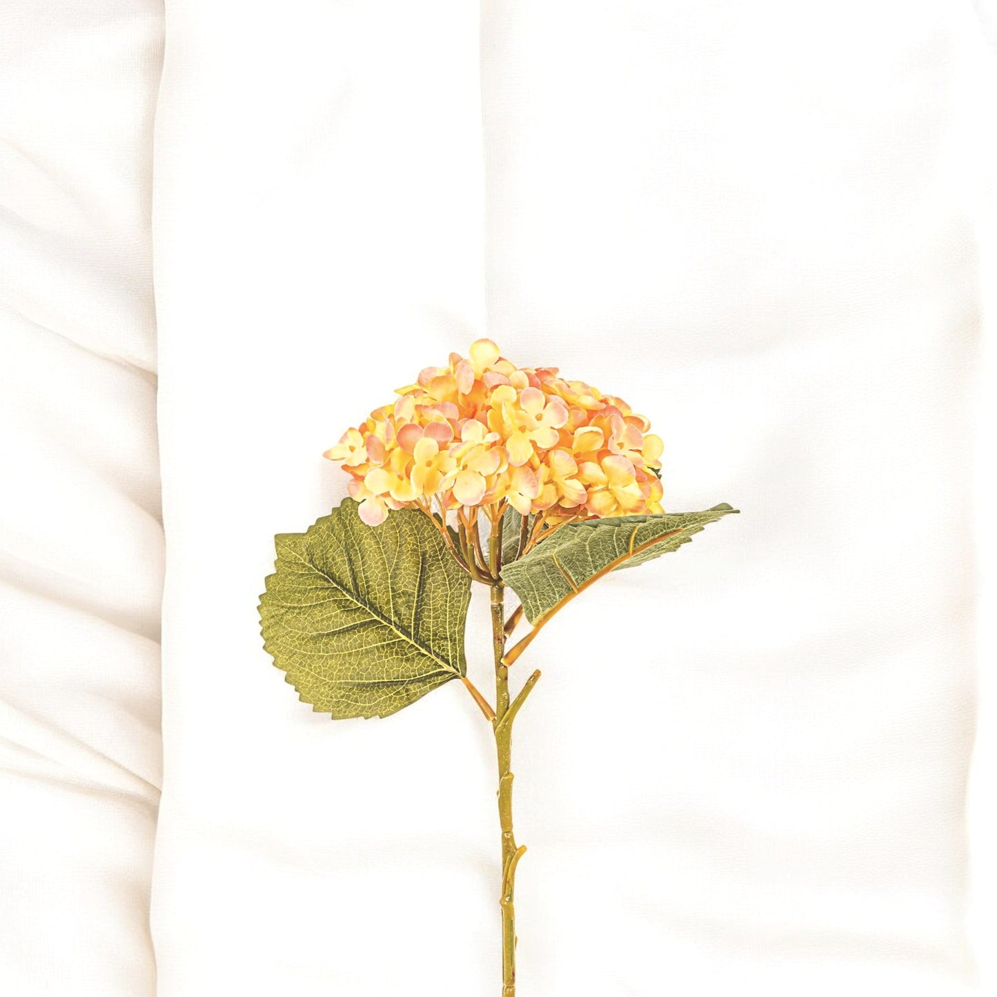 Hortensia Orange