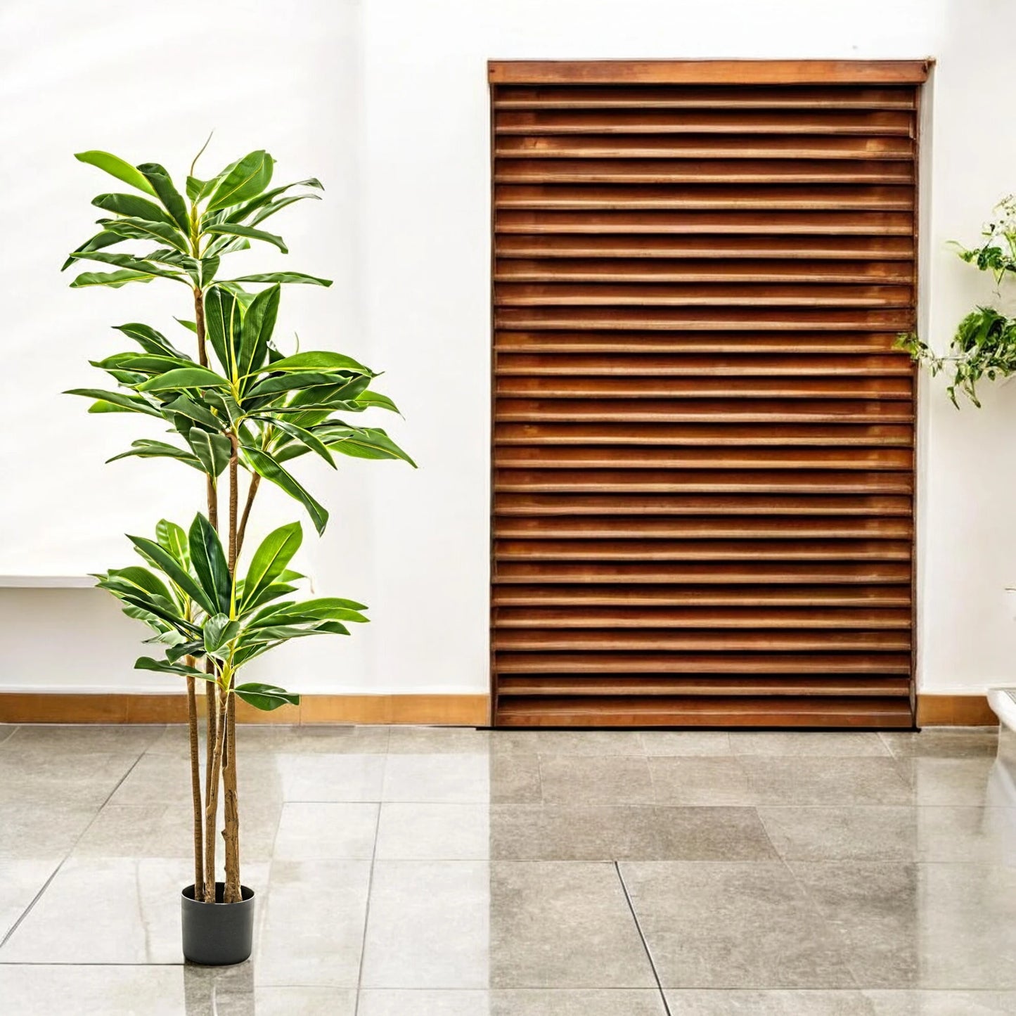 Dracaena Artificial Premium: 195cms