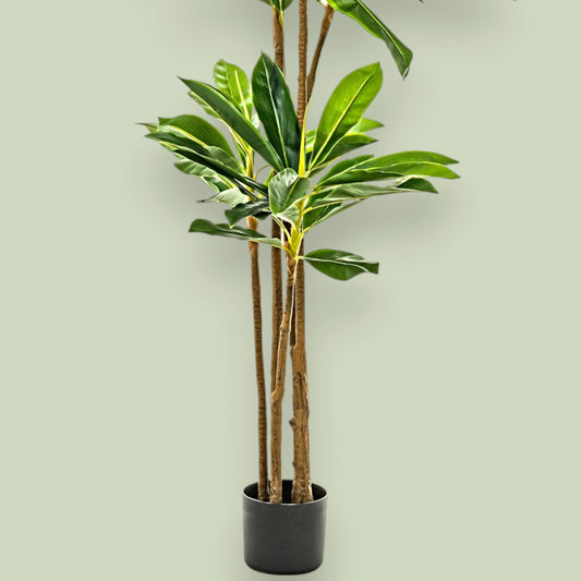 Dracaena Artificial Premium: 195cms