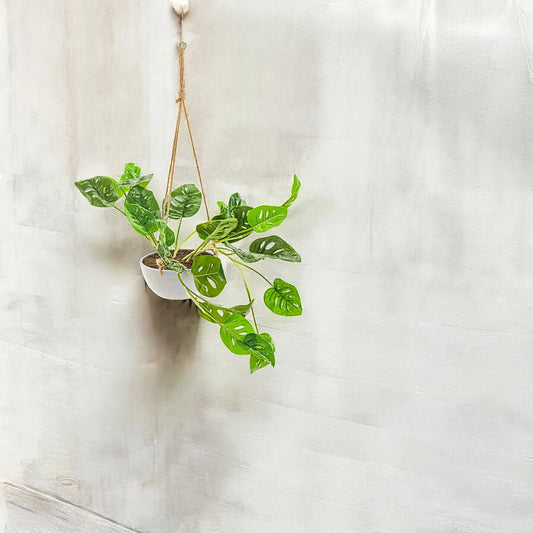 Monstera Adansonii artificial Colgante
